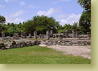 JUNTA���s���܂����I