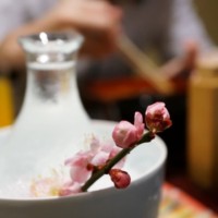 冷酒は、雪と春に盛られて