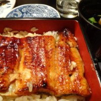 これは大人の頼んだ「姫うな膳」。第二王子はどどど〜んとうな重(大)