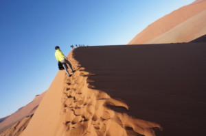 ナミブ砂漠