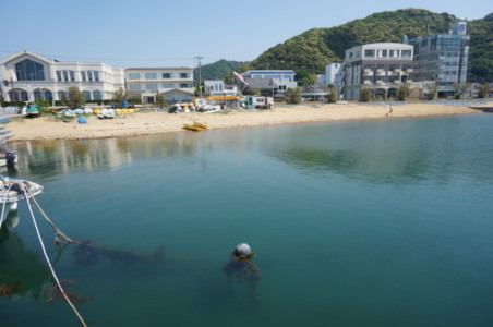 のどかな港沿いの遊歩道