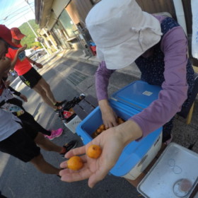 そして、エイド出たすぐの曲がり角