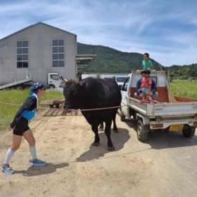 立派な隠岐牛の応援