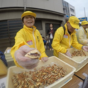 銘菓くるみに、どらやき