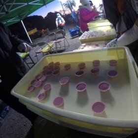 蕎麦稲荷、卵焼き、ブルーベリーゼリー。日の出前のわかめスープ しみます。