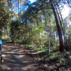 通学路! 毎日通ったら、鍛えられそう