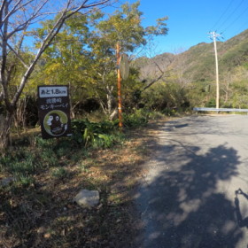 モンキーベイ 近し