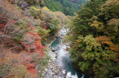 昔、木を流して運ぶ折は難所だったとか