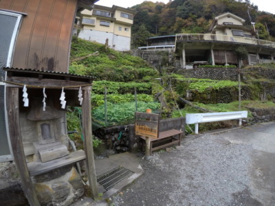 わさび田もある清泉